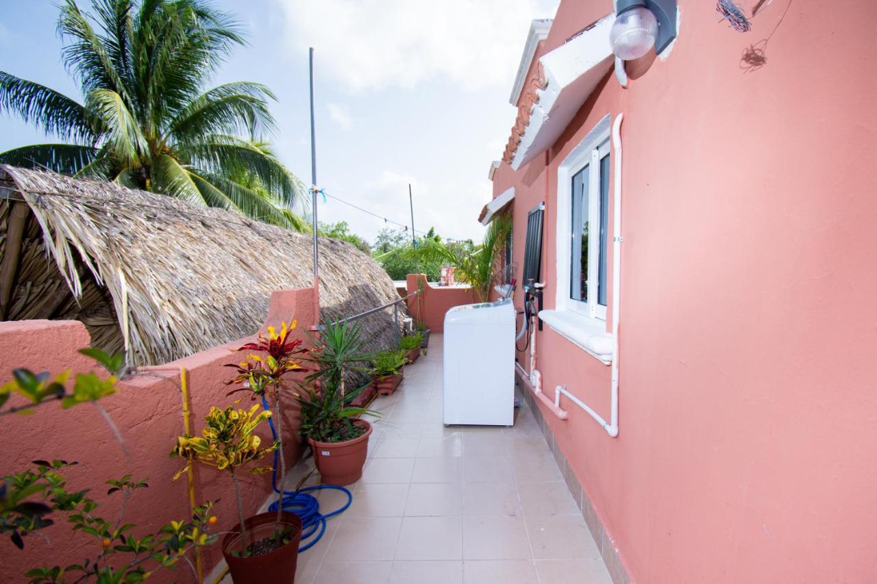Budgies Cozumel Exterior foto