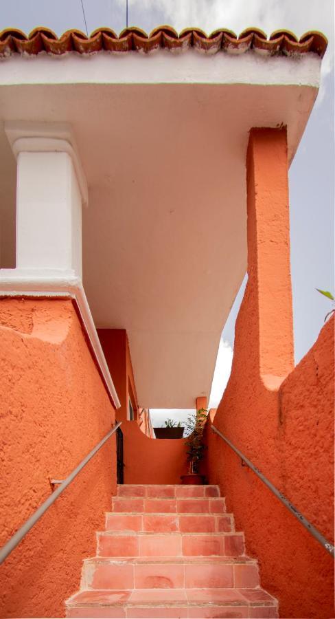 Budgies Cozumel Exterior foto